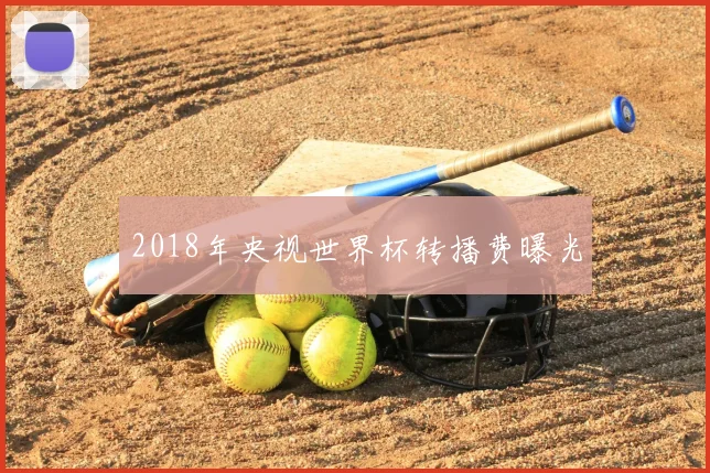 2018年央视世界杯转播费曝光