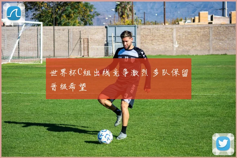 世界杯C组出线竞争激烈 多队保留晋级希望