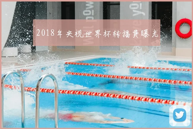 2018年央视世界杯转播费曝光