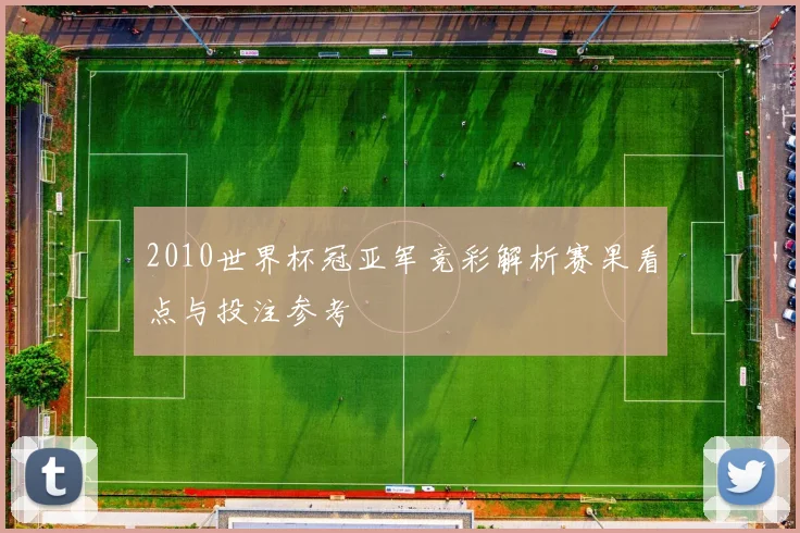 2010世界杯冠亚军竞彩解析赛果看点与投注参考