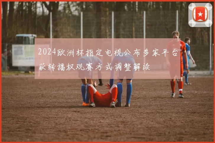 2024欧洲杯指定电视公布多家平台获转播权观赛方式调整解读