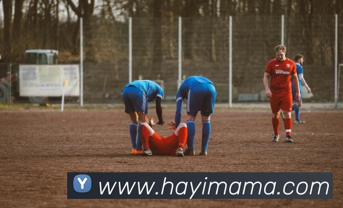 App Interface Preview